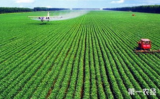 農(nóng)業(yè)科技 現(xiàn)代農(nóng)業(yè)發(fā)展的核心引擎——種植技術(shù)創(chuàng)新與應(yīng)用