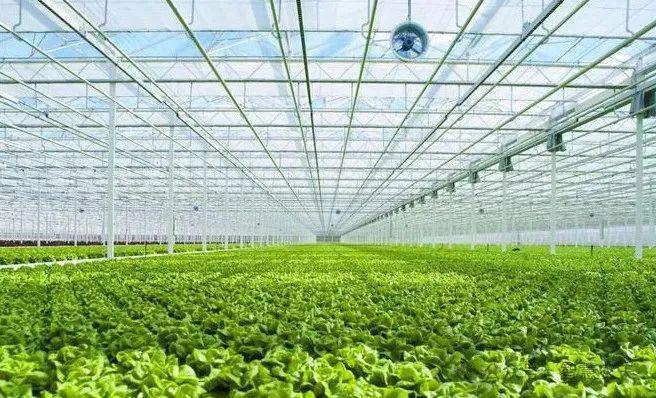 發(fā)展設(shè)施農(nóng)業(yè)，推動(dòng)農(nóng)業(yè)技術(shù)革新