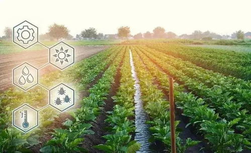 數(shù)字鄉(xiāng)村直通車(chē) 全國(guó)政策盤(pán)點(diǎn)與農(nóng)業(yè)種植技術(shù)開(kāi)發(fā)新機(jī)遇