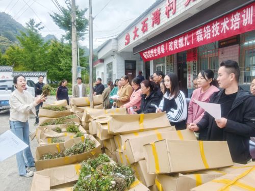 小漿果孕育大產(chǎn)業(yè) 以農(nóng)業(yè)種植技術(shù)開發(fā)驅(qū)動鄉(xiāng)村經(jīng)濟(jì)新增長