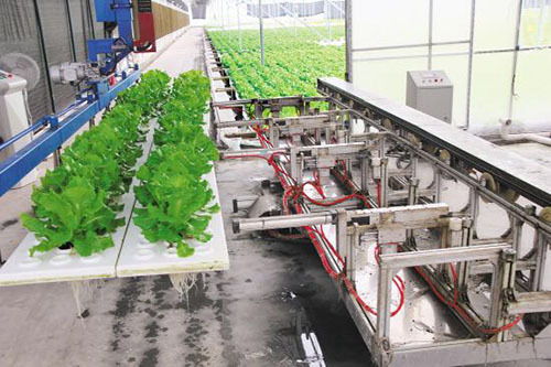 雙創(chuàng)驅動下的未來農業(yè) 科技種植技術引領農業(yè)農村新變革